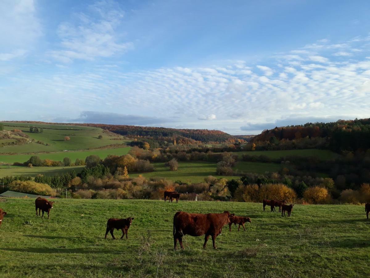 Gite Aux Lauriers Lacroix-sur-Meuse 외부 사진
